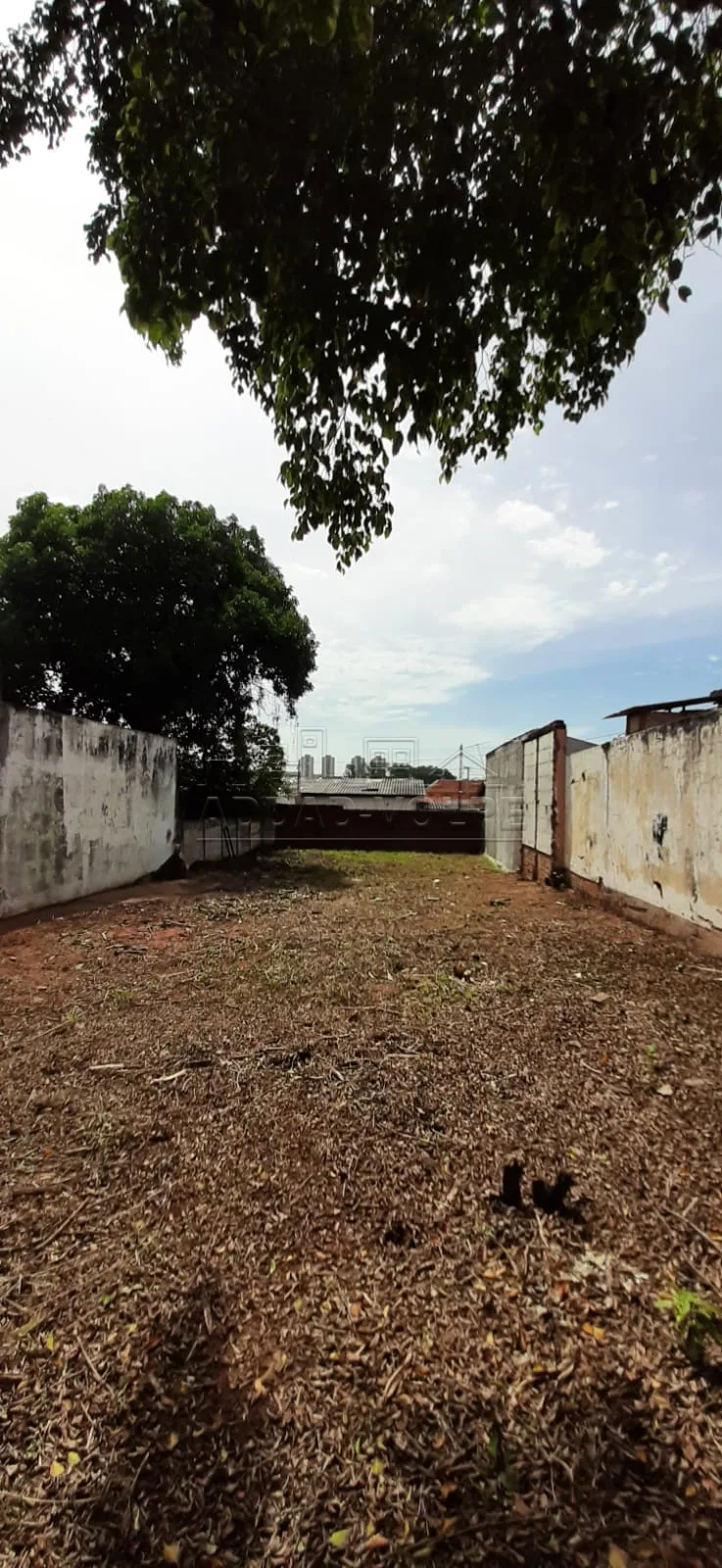 Comprar Terreno / Padr&atilde;o em Bauru R$ 220.000,00 - Foto 2