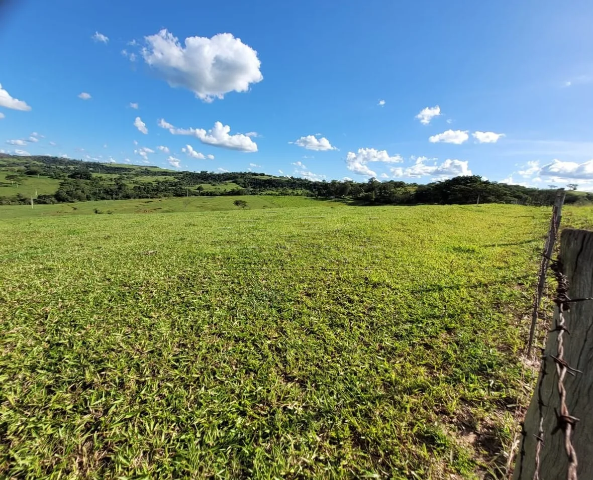 Comprar Rural / S&iacute;tio em Duartina R$ 880.000,00 - Foto 1