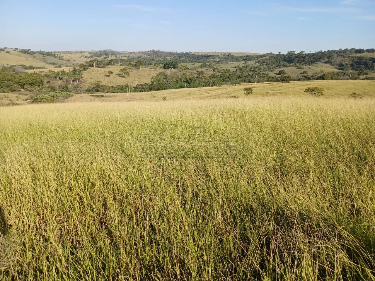 Comprar Rural / S&iacute;tio em Duartina R$ 880.000,00 - Foto 2
