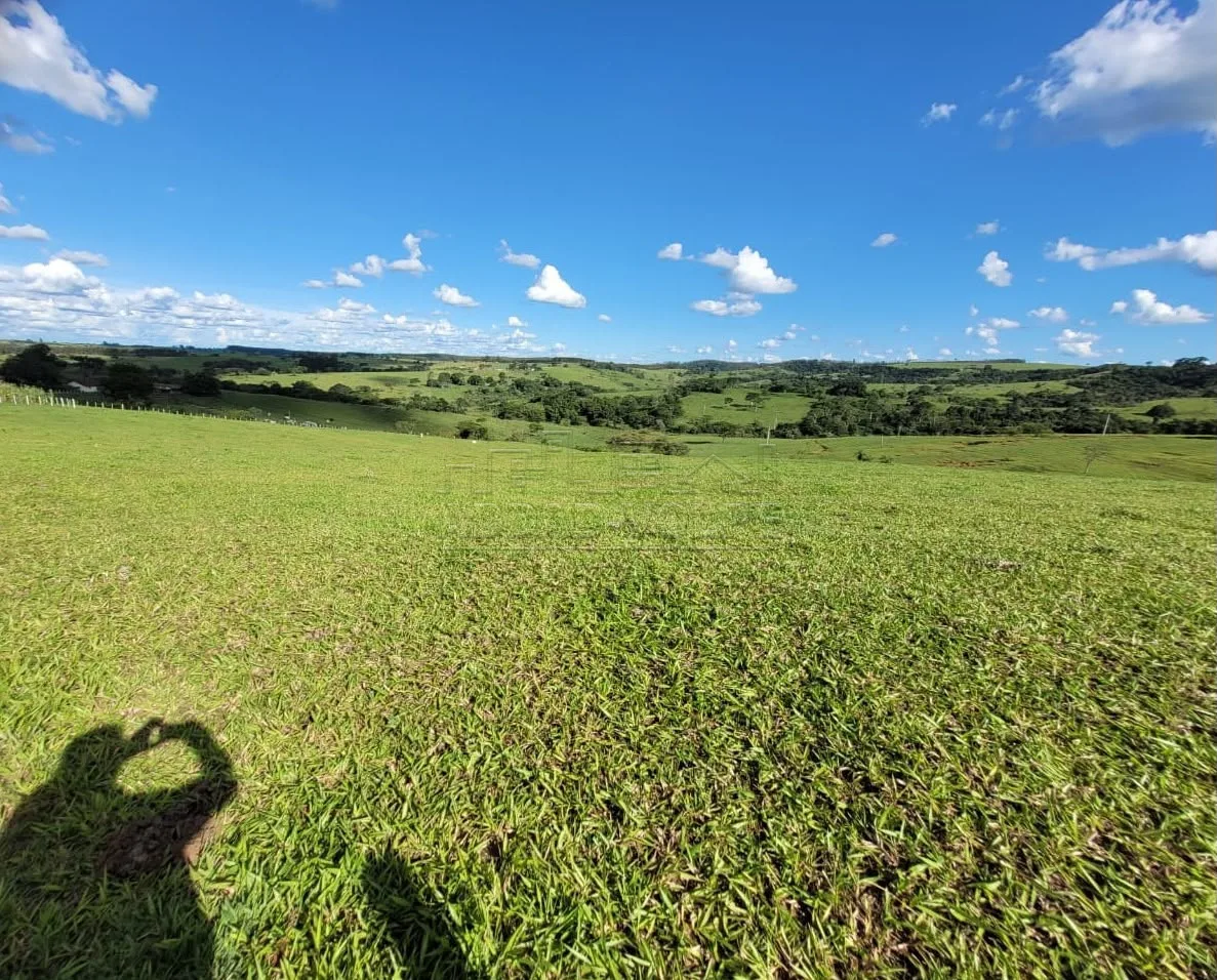 Comprar Rural / S&iacute;tio em Duartina R$ 880.000,00 - Foto 3