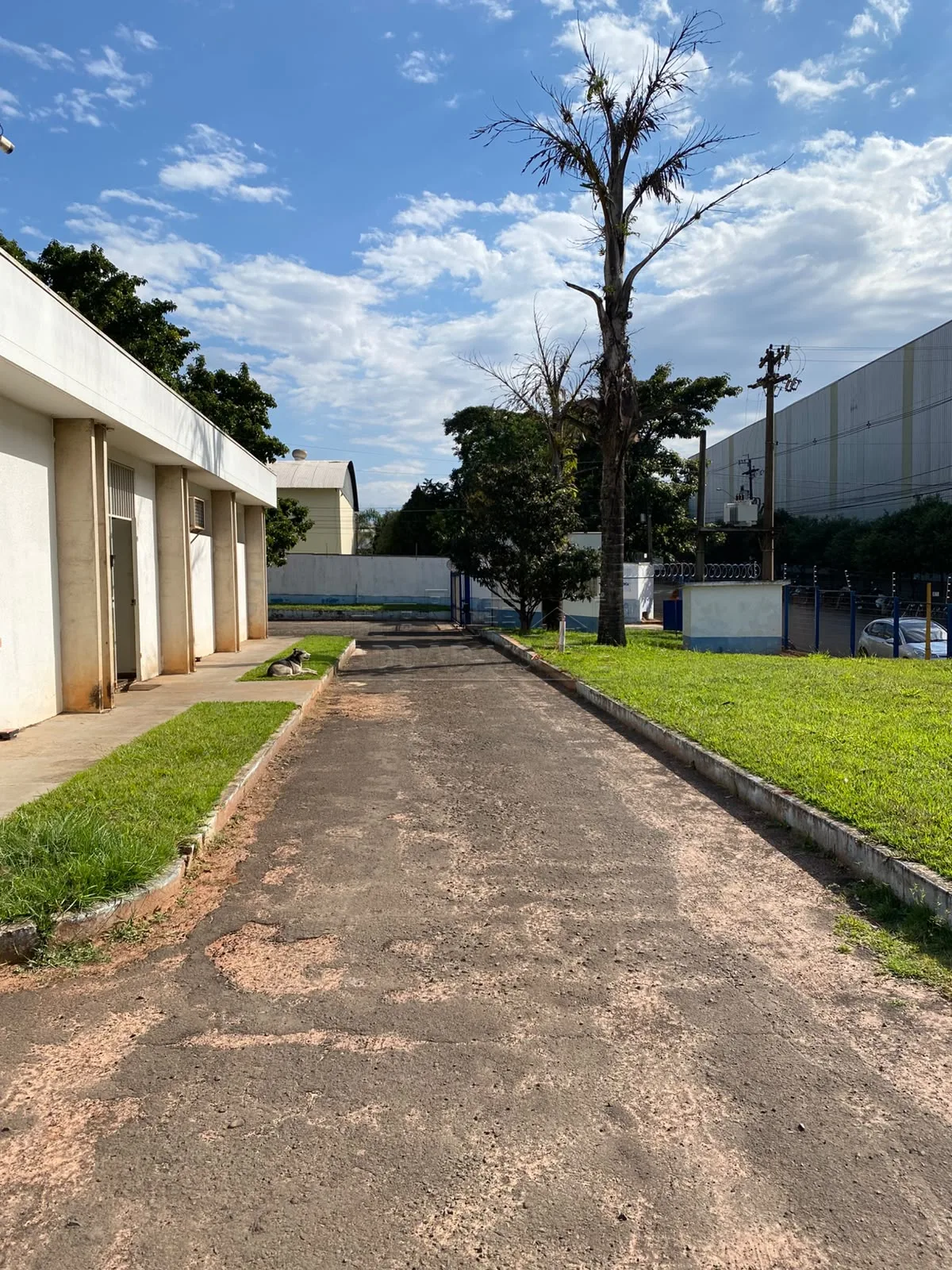 Alugar Comercial / Barrac&atilde;o em Bauru R$ 45.000,00 - Foto 3