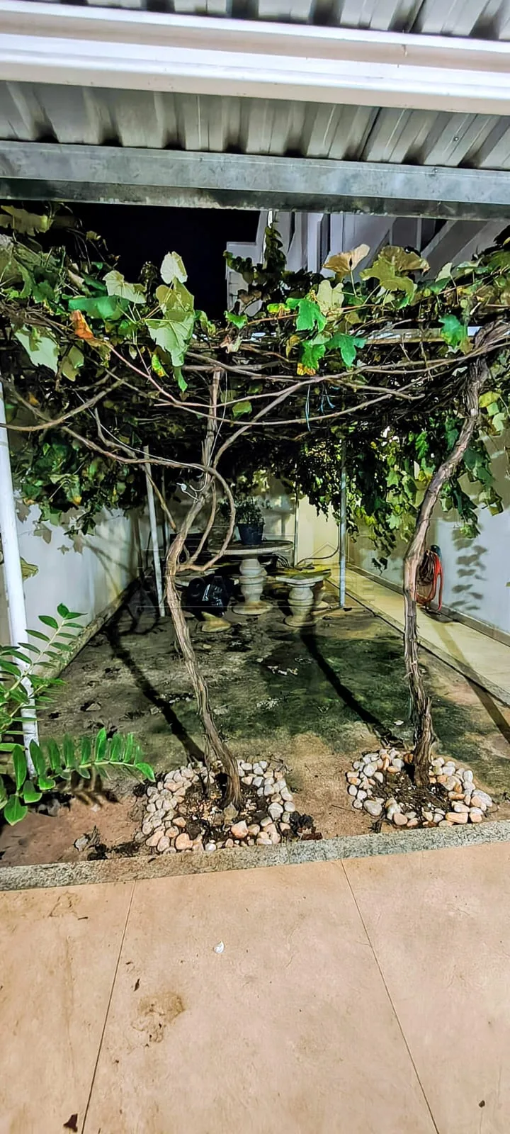 Alugar Apartamento / Padr&atilde;o em Bauru R$ 1.350,00 - Foto 6