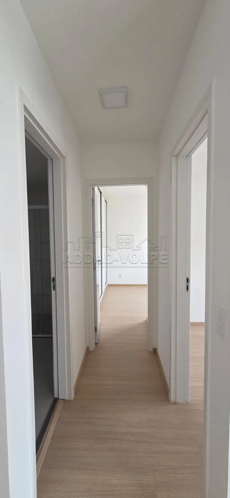 Alugar Apartamento / Padr&atilde;o em Bauru R$ 1.650,00 - Foto 5