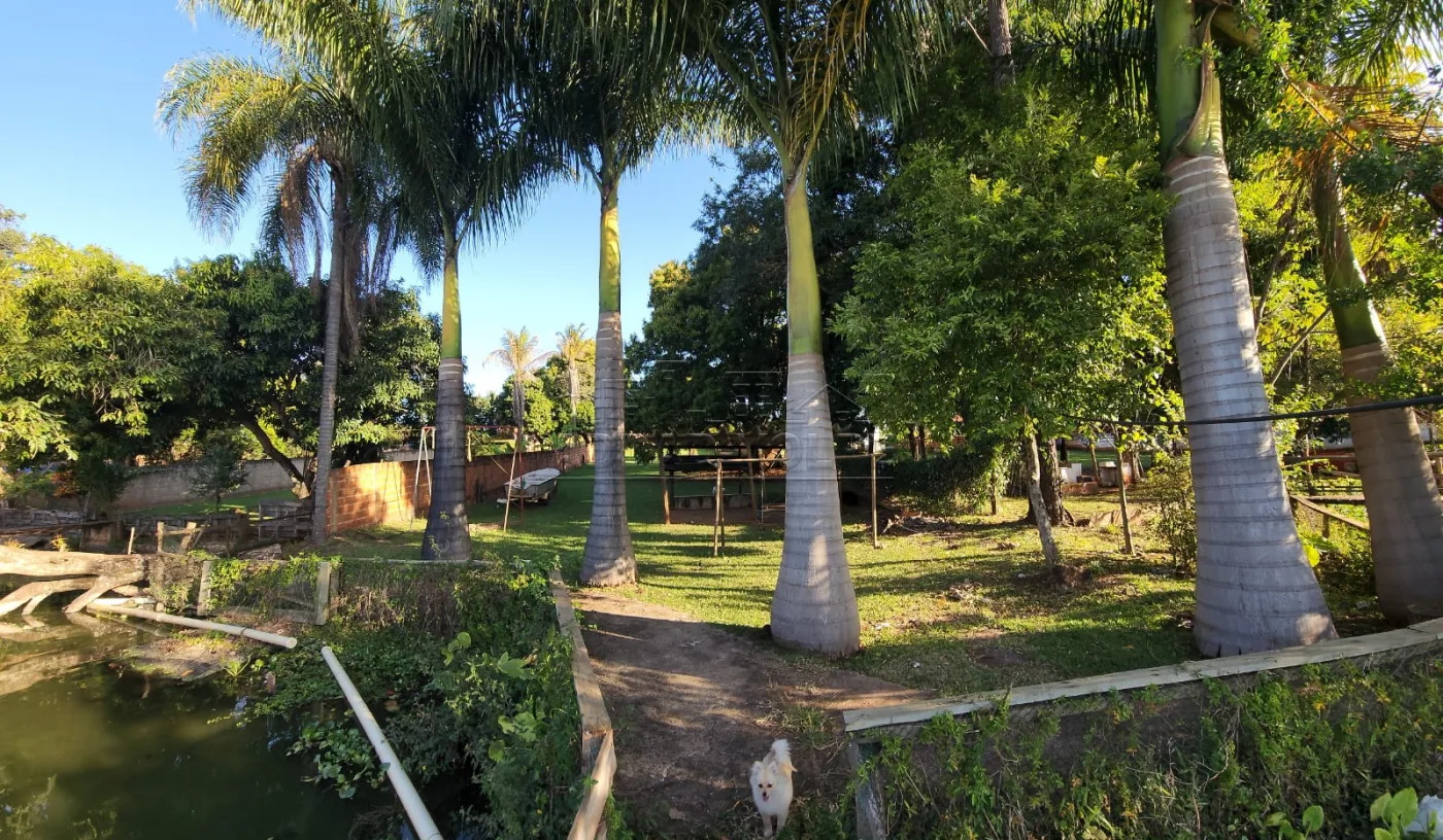 Comprar Rural / Rancho em Arealva R$ 350.000,00 - Foto 2