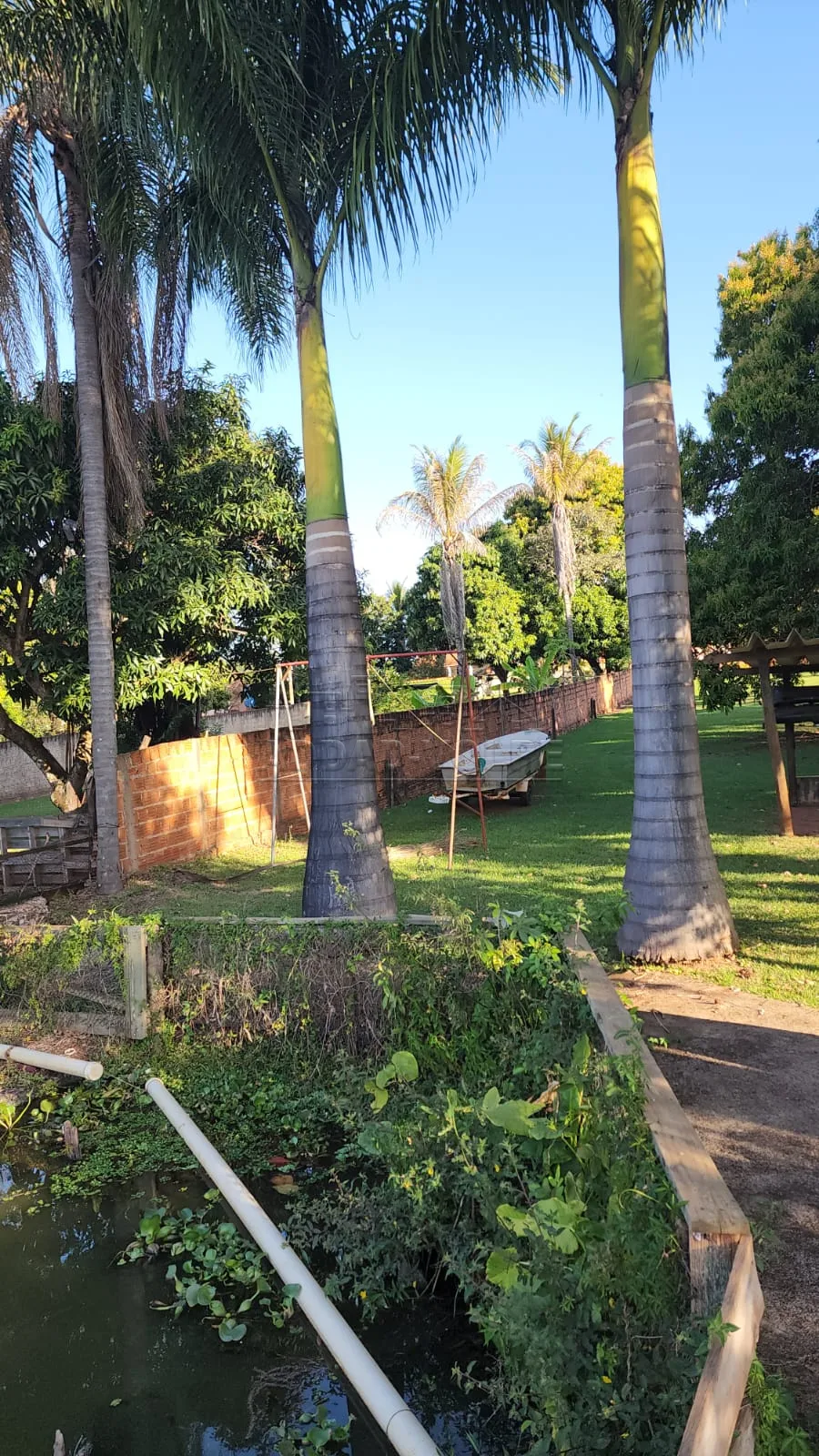 Comprar Rural / Rancho em Arealva R$ 350.000,00 - Foto 3