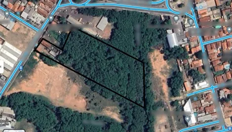 Bauru Vila Falcao Terreno Venda R$4.900.000,00  Area do terreno 10000.00m2 