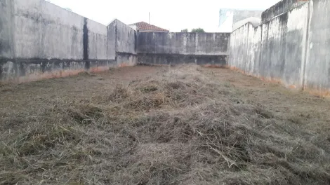 Bauru Jardim Godoy Terreno Venda R$216.000,00  Area do terreno 300.00m2 