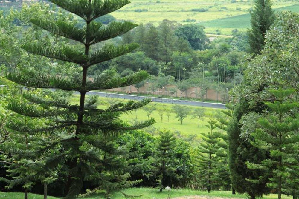 Comprar Terreno / Condom&iacute;nio em Ribeir&atilde;o Preto R$ 1.387.500,00 - Foto 6