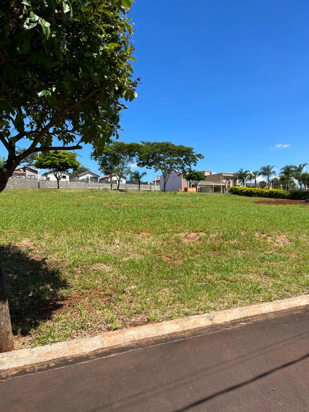 Comprar Terreno / Condom&iacute;nio em Ribeir&atilde;o Preto R$ 210.000,00 - Foto 8