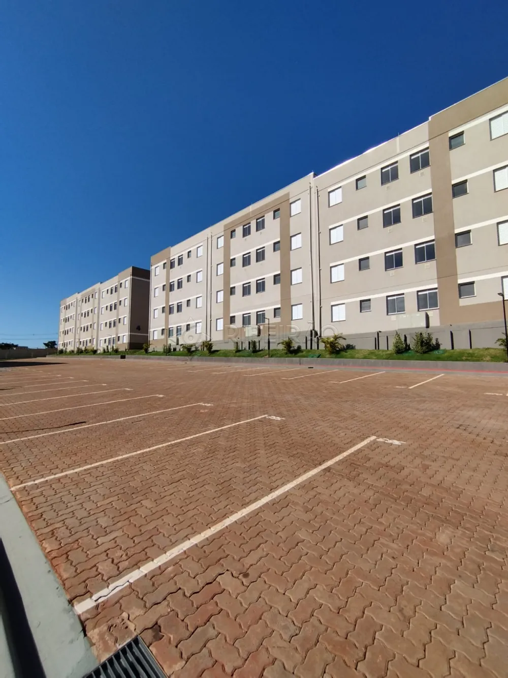 Alugar Apartamento / Padr&atilde;o em Ribeir&atilde;o Preto R$ 900,00 - Foto 12