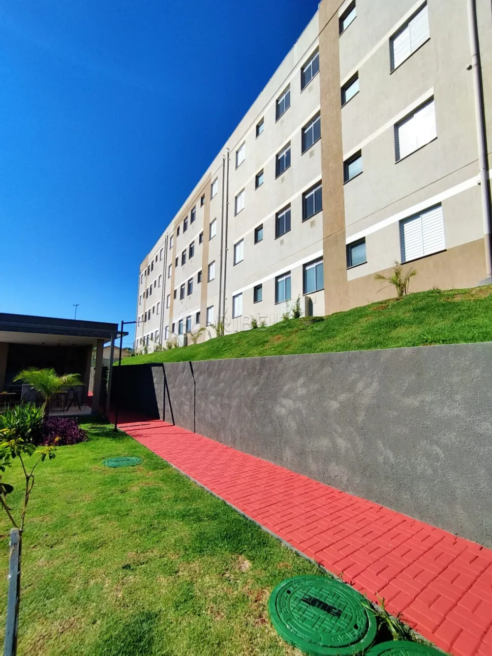 Alugar Apartamento / Padr&atilde;o em Ribeir&atilde;o Preto R$ 900,00 - Foto 15