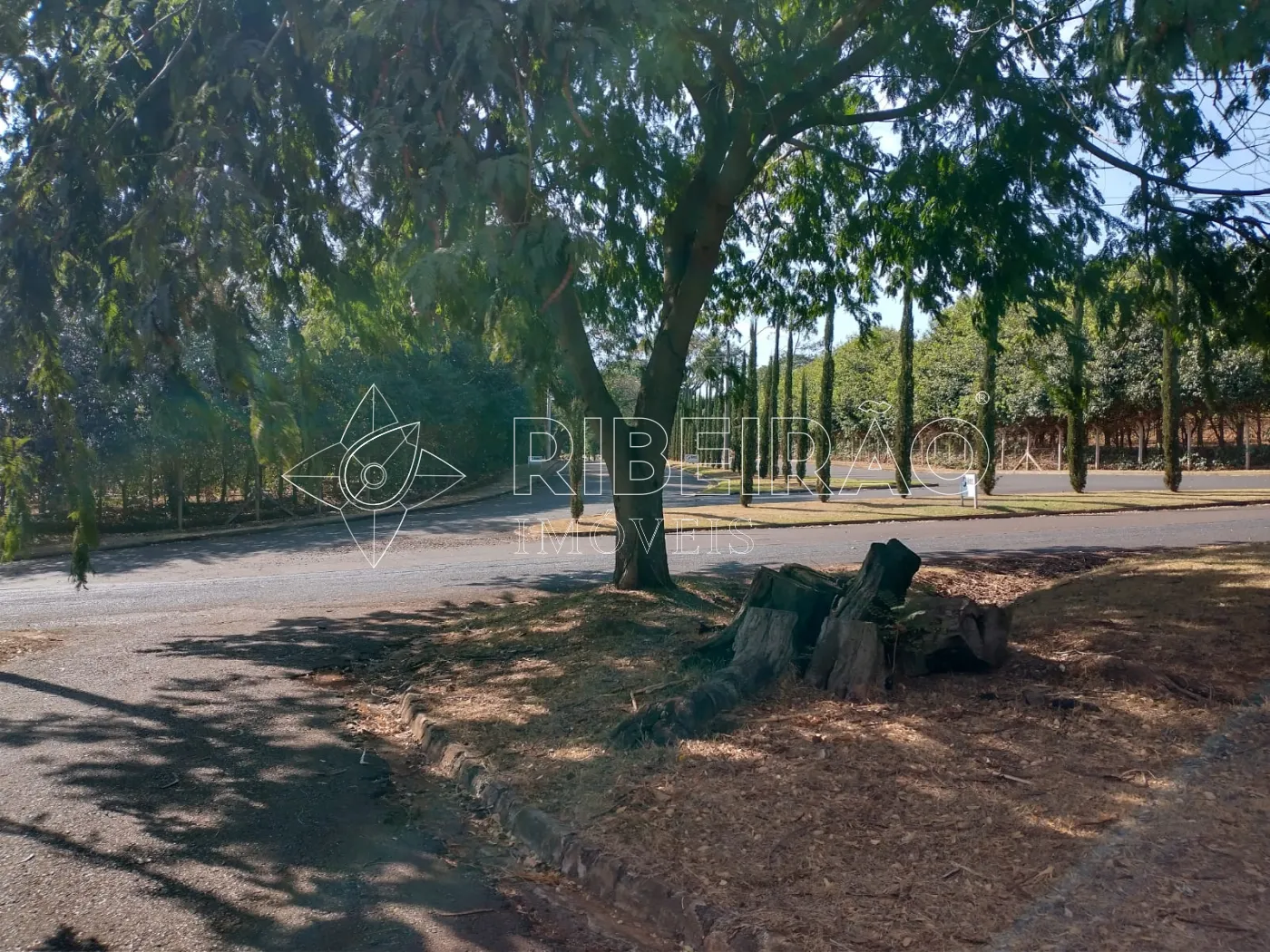 Comprar Terreno / Residencial em Ribeir&atilde;o Preto R$ 130.000,00 - Foto 4