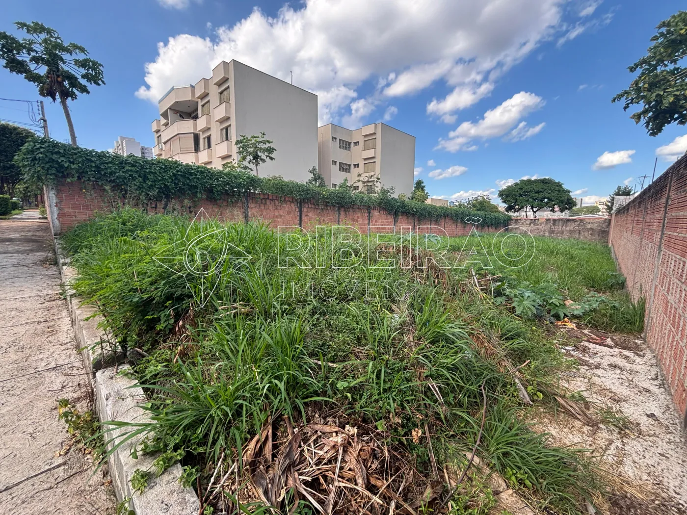 Comprar Terreno / &Aacute;rea em Ribeir&atilde;o Preto R$ 600.000,00 - Foto 4