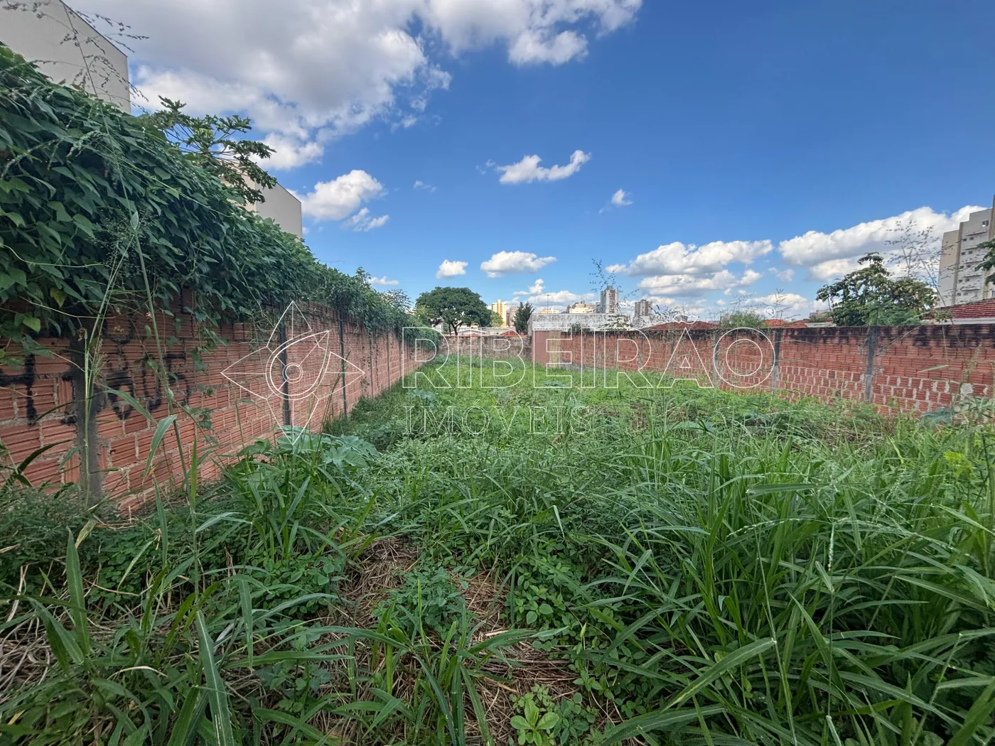 Comprar Terreno / &Aacute;rea em Ribeir&atilde;o Preto R$ 600.000,00 - Foto 5