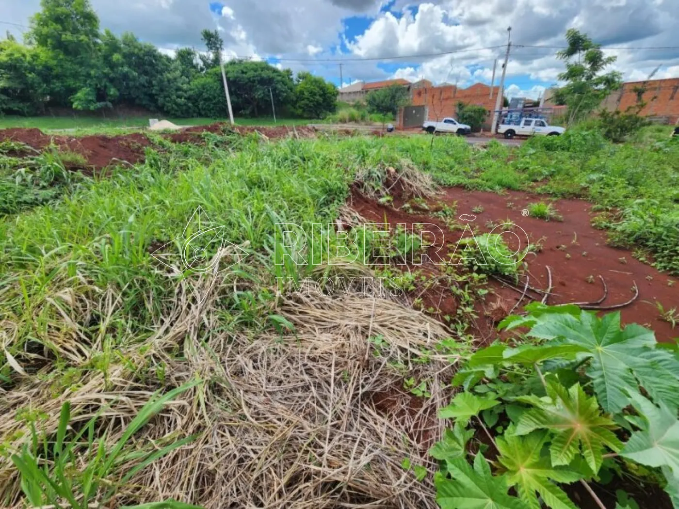 Comprar Terreno / &Aacute;rea em Bonfim Paulista (Ribeir&atilde;o Preto) R$ 145.000,00 - Foto 4