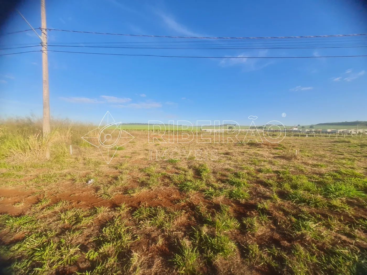 Comprar Terreno / Comercial em Bonfim Paulista (Ribeir&atilde;o Preto) R$ 3.150.000,00 - Foto 11