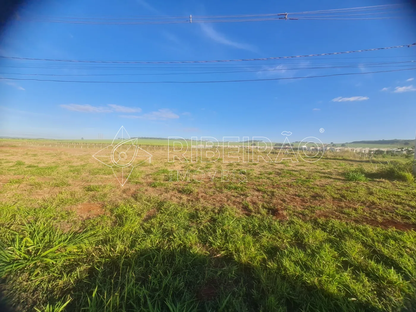 Comprar Terreno / Comercial em Bonfim Paulista (Ribeir&atilde;o Preto) R$ 3.150.000,00 - Foto 3