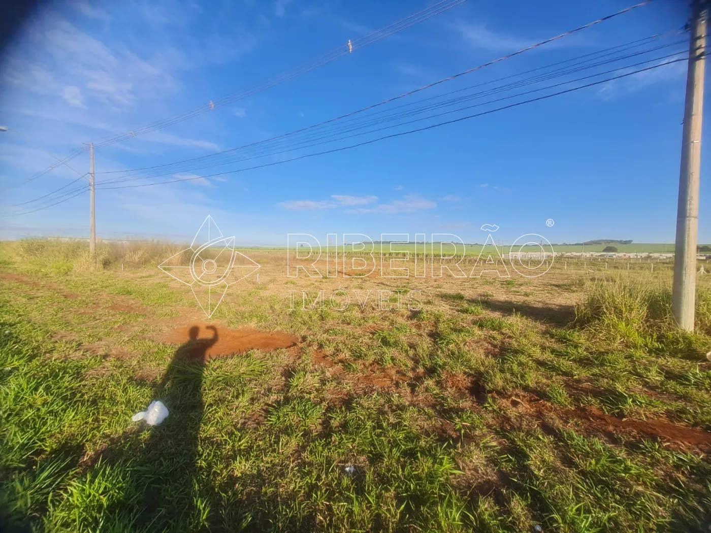 Comprar Terreno / Comercial em Bonfim Paulista (Ribeir&atilde;o Preto) R$ 3.150.000,00 - Foto 9