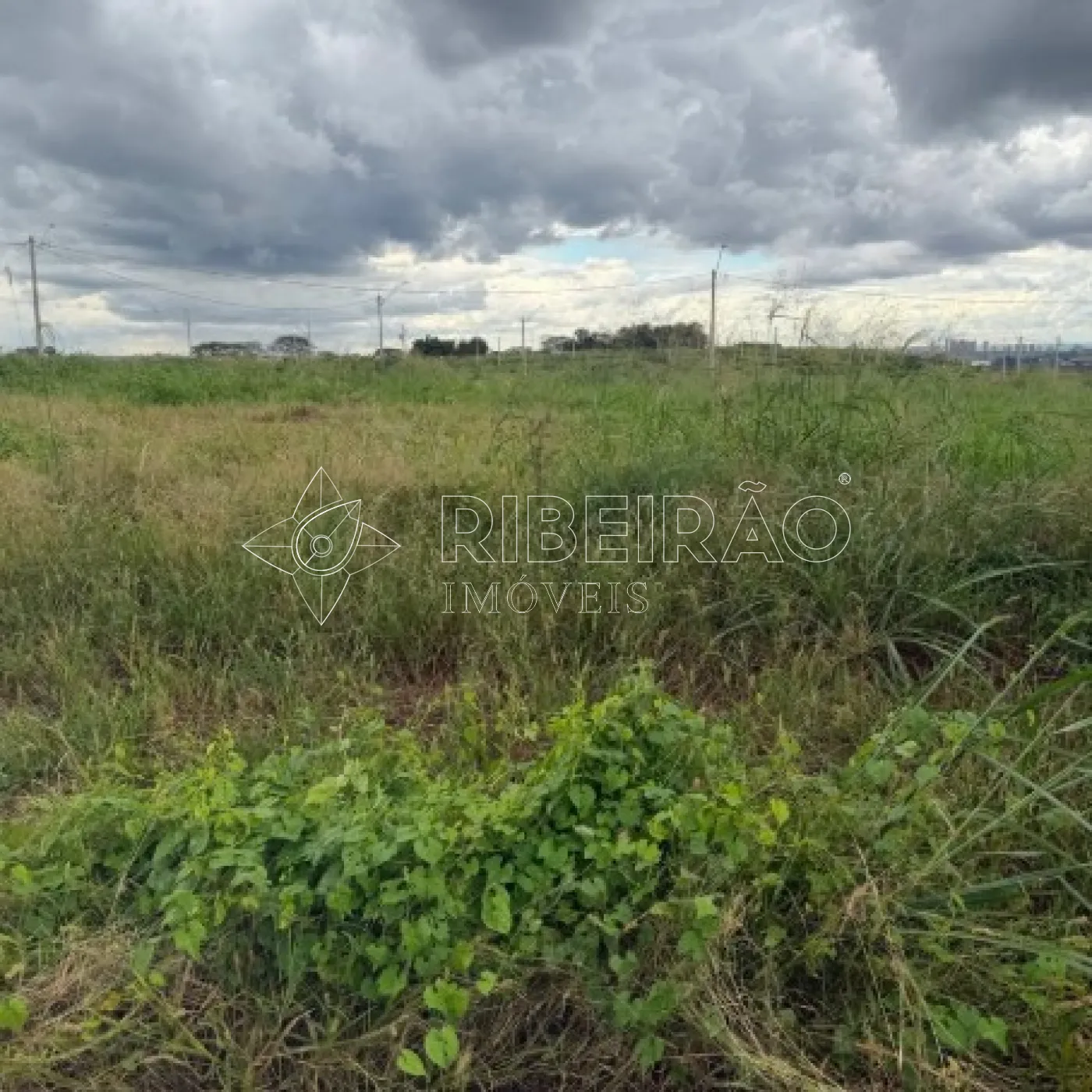 Comprar Terreno / Condom&iacute;nio em Ribeir&atilde;o Preto R$ 137.800,00 - Foto 1