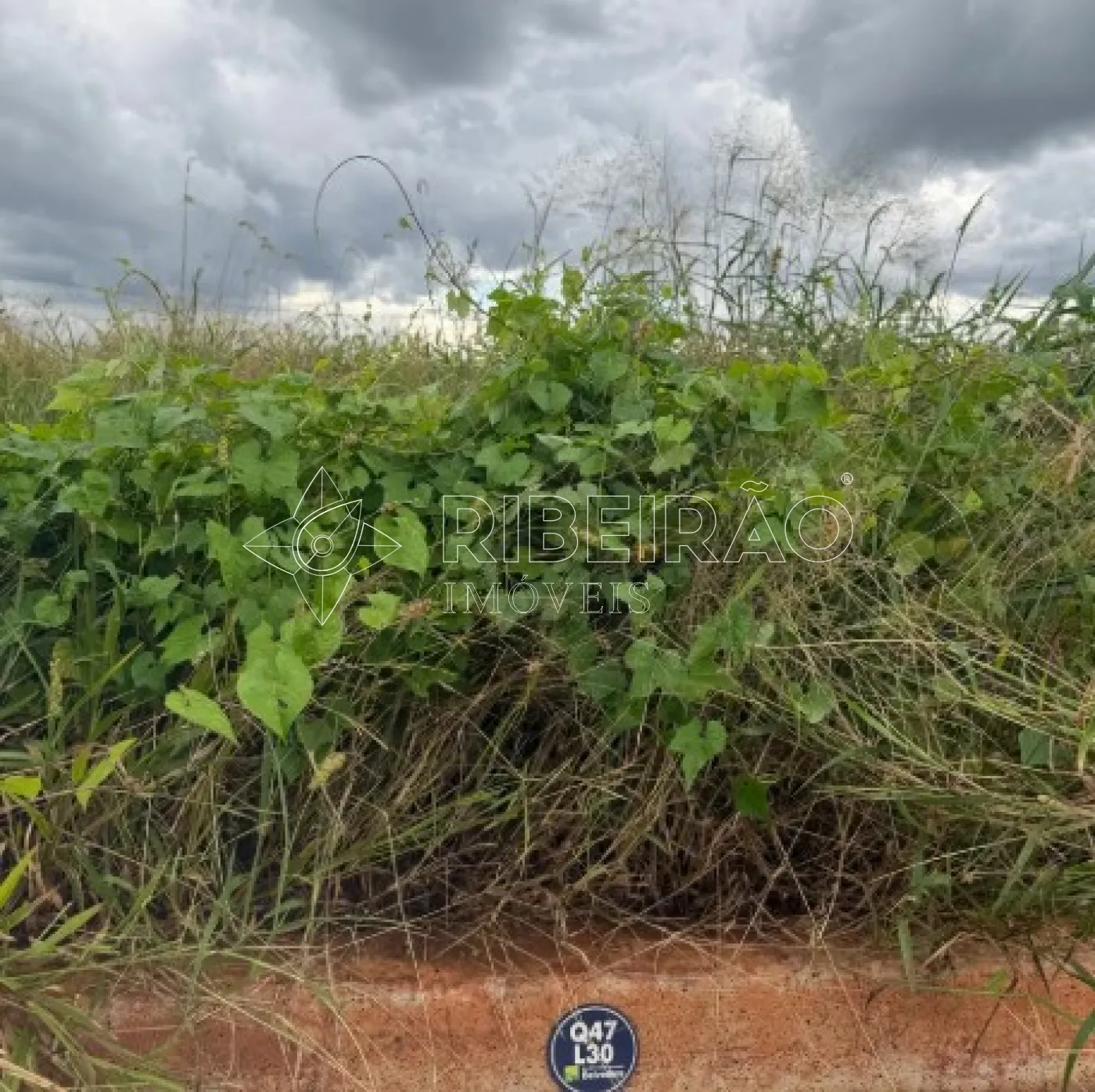 Comprar Terreno / Condom&iacute;nio em Ribeir&atilde;o Preto R$ 137.800,00 - Foto 3