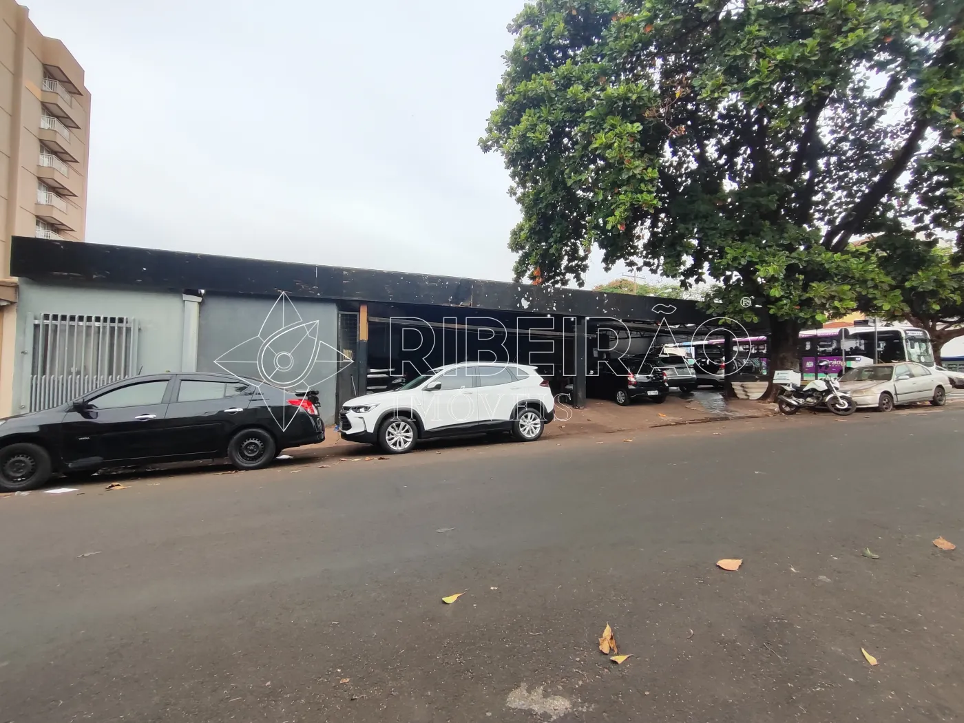 Alugar Comercial / Im&oacute;vel Comercial em Ribeir&atilde;o Preto R$ 11.000,00 - Foto 1