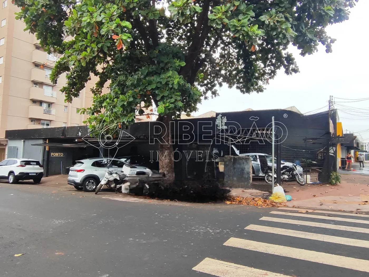 Alugar Comercial / Im&oacute;vel Comercial em Ribeir&atilde;o Preto R$ 11.000,00 - Foto 4