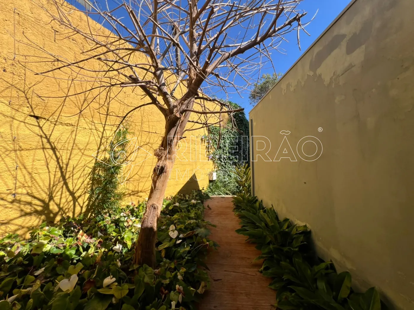 Alugar Comercial / Im&oacute;vel Comercial em Ribeir&atilde;o Preto R$ 40.000,00 - Foto 30
