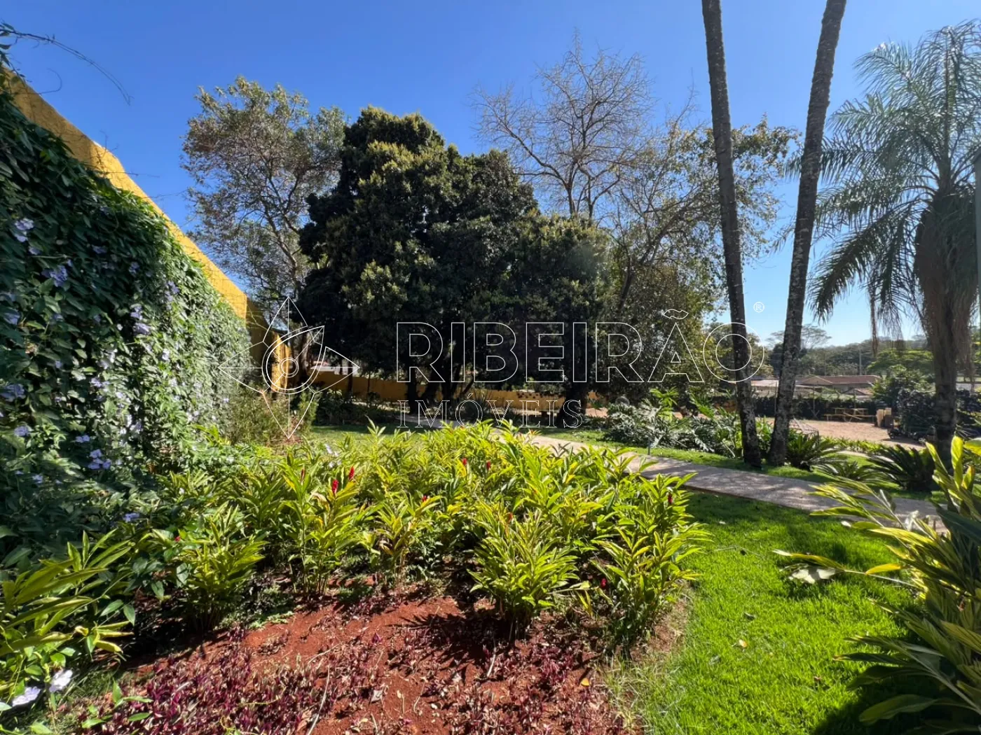 Alugar Comercial / Im&oacute;vel Comercial em Ribeir&atilde;o Preto R$ 40.000,00 - Foto 32