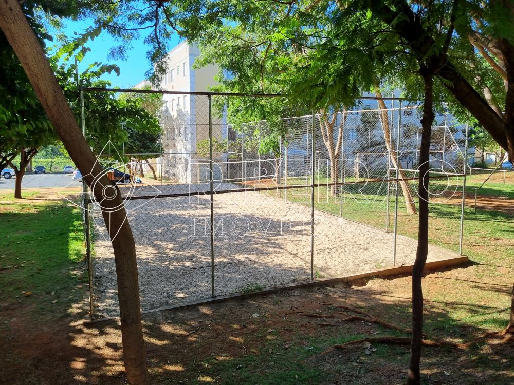 Alugar Apartamento / Padr&atilde;o em Ribeir&atilde;o Preto R$ 900,00 - Foto 25