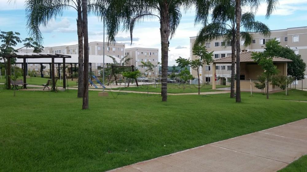 Alugar Apartamento / Padr&atilde;o em Ribeir&atilde;o Preto R$ 900,00 - Foto 27