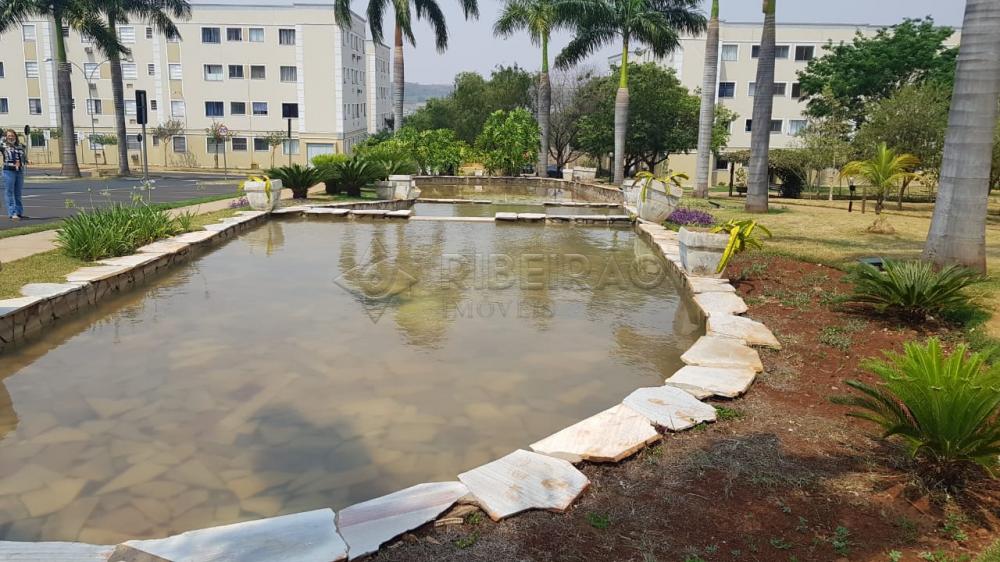 Alugar Apartamento / Padr&atilde;o em Ribeir&atilde;o Preto R$ 900,00 - Foto 28