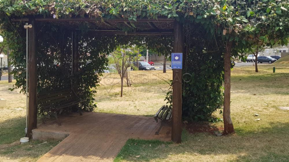 Alugar Apartamento / Padr&atilde;o em Ribeir&atilde;o Preto R$ 900,00 - Foto 33