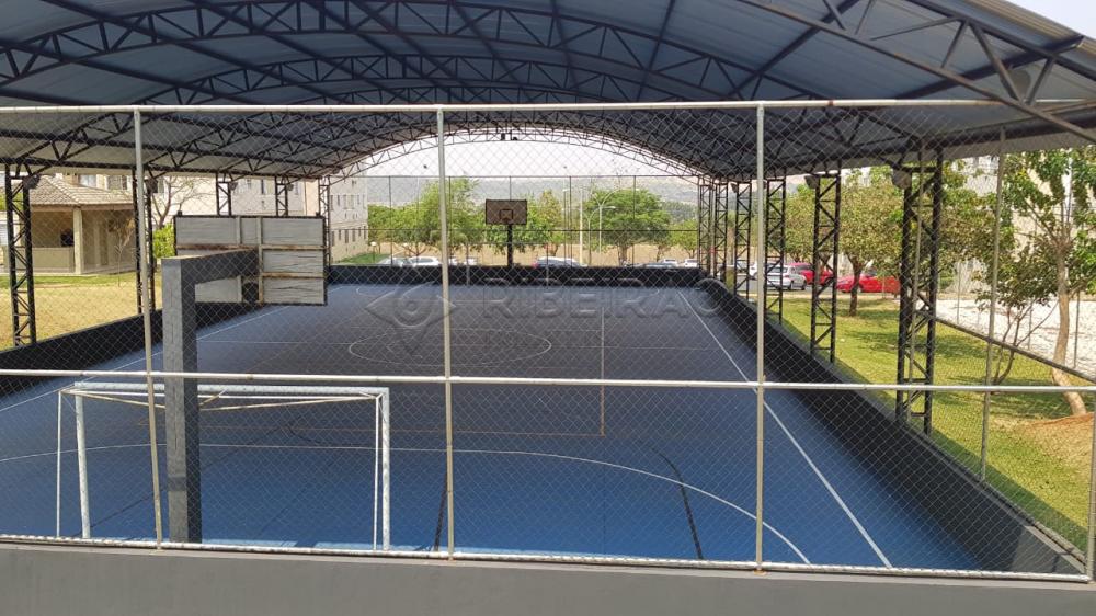 Alugar Apartamento / Padr&atilde;o em Ribeir&atilde;o Preto R$ 900,00 - Foto 34