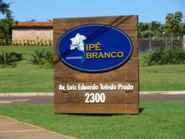 Ribeirao Preto Condominios Zona Sul Terreno Venda R$4.300.000,00 Condominio R$2.000,00  Area do terreno 1020.00m2 