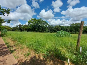 Ribeirao Preto Condominios Zona Sul Terreno Venda R$3.119.940,00  Area do terreno 1039.98m2 