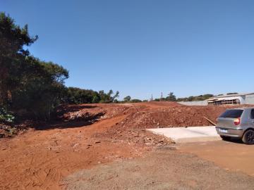 Ribeirao Preto Ipiranga Comercial Venda R$3.200.000,00  Area do terreno 5238.02m2 