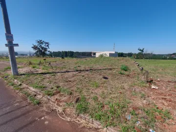 Ribeirao Preto Parque das Oliveiras Terreno Venda R$240.000,00  Area do terreno 473.00m2 