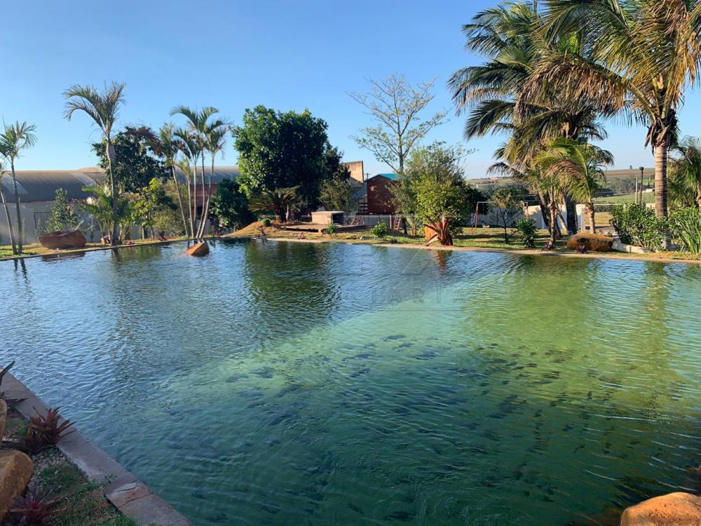 Comprar Casa / Padr&atilde;o em Dois C&oacute;rregos R$ 7.000.000,00 - Foto 1