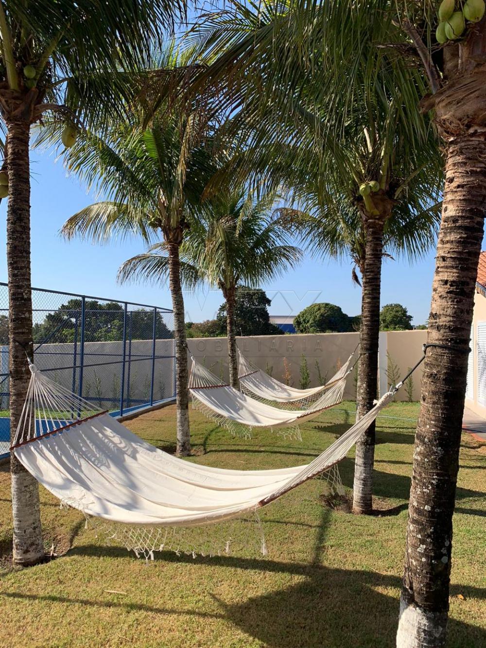 Comprar Casa / Padr&atilde;o em Dois C&oacute;rregos R$ 7.000.000,00 - Foto 4