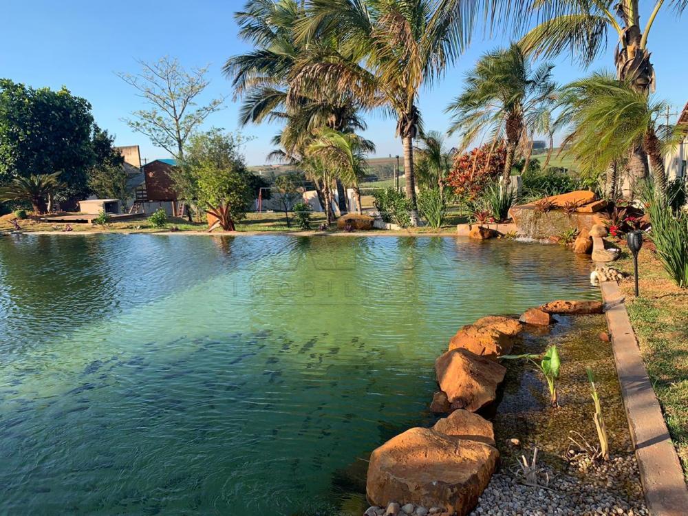 Comprar Casa / Padr&atilde;o em Dois C&oacute;rregos R$ 7.000.000,00 - Foto 7