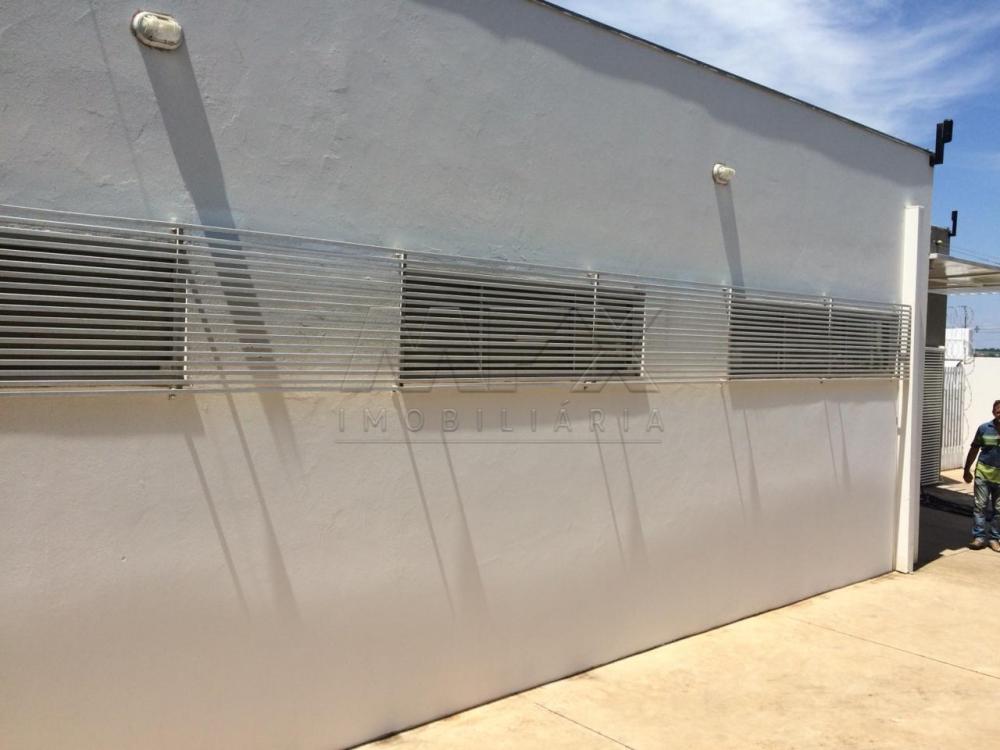 Alugar Comercial / Ponto Comercial em Bauru R$ 7.000,00 - Foto 18