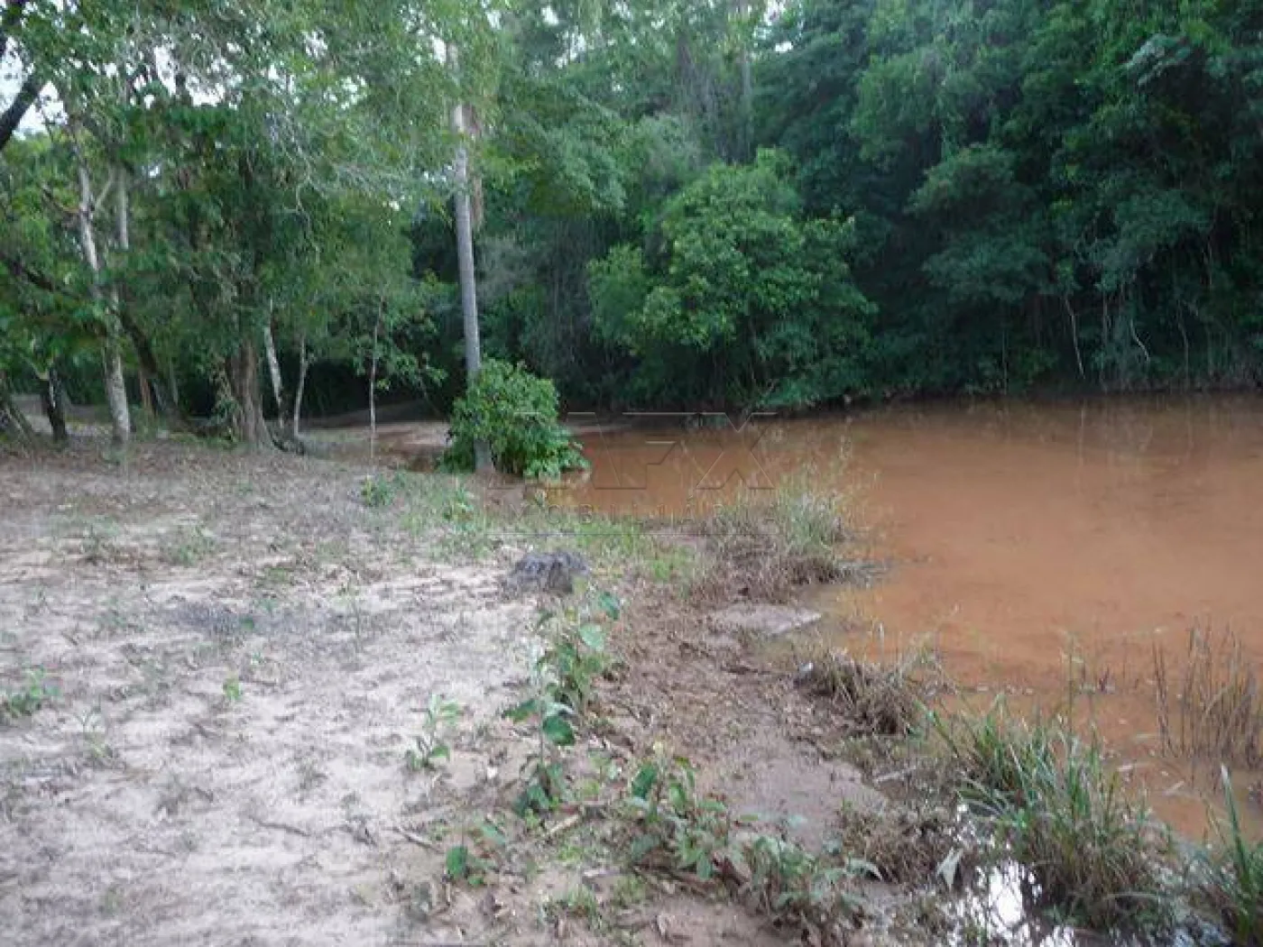 Comprar Rural / Ch&aacute;cara em Len&ccedil;&oacute;is Paulista - Foto 13