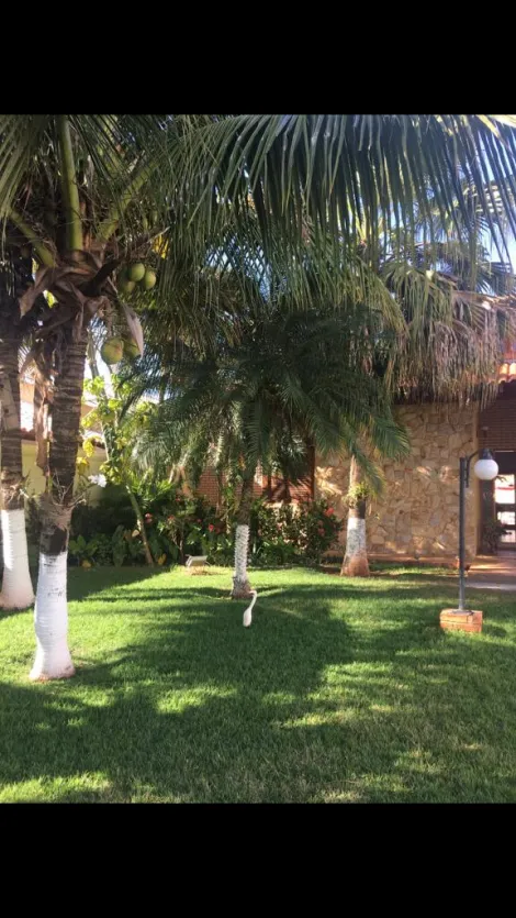 Arealva Riviera do Tiete Rural Venda R$800.000,00 3 Dormitorios  Area do terreno 220.00m2 