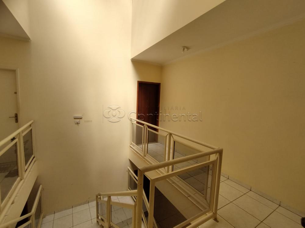 Alugar Apartamento / Padr&atilde;o em Dourados R$ 1.500,00 - Foto 3