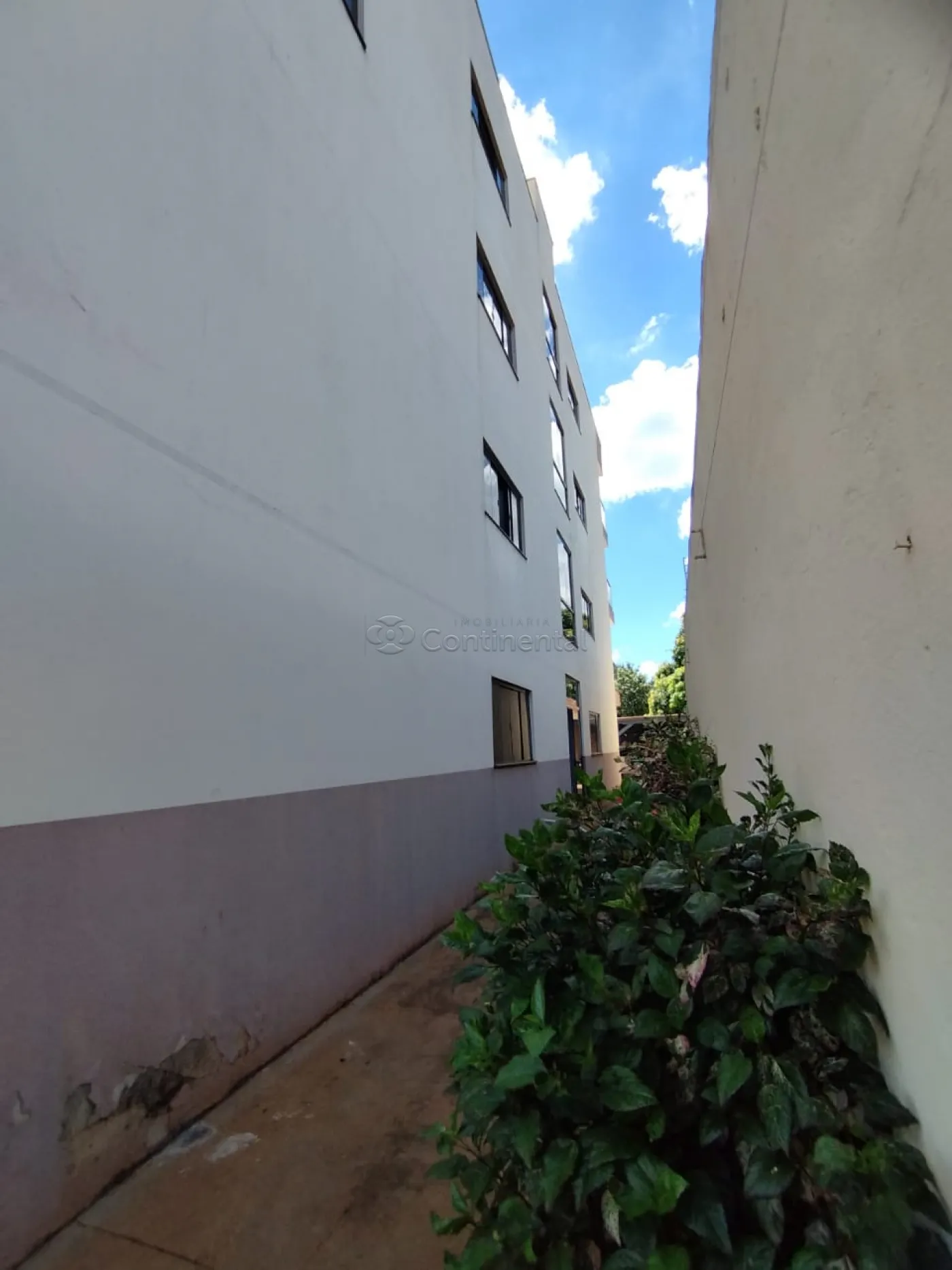 Alugar Apartamento / Padr&atilde;o em Dourados R$ 1.200,00 - Foto 3