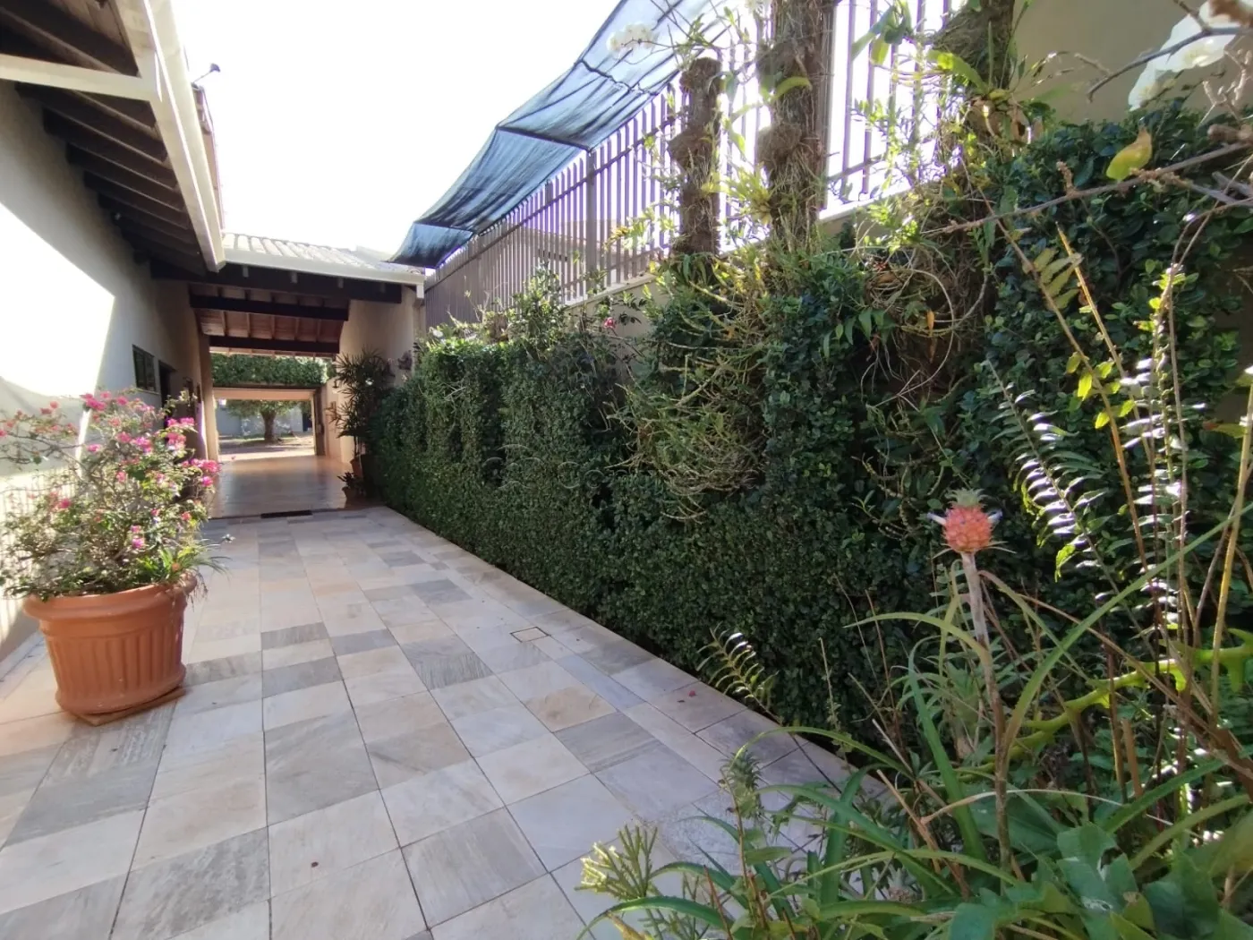 Comprar Casa / Padr&atilde;o em Dourados R$ 1.000.000,00 - Foto 34