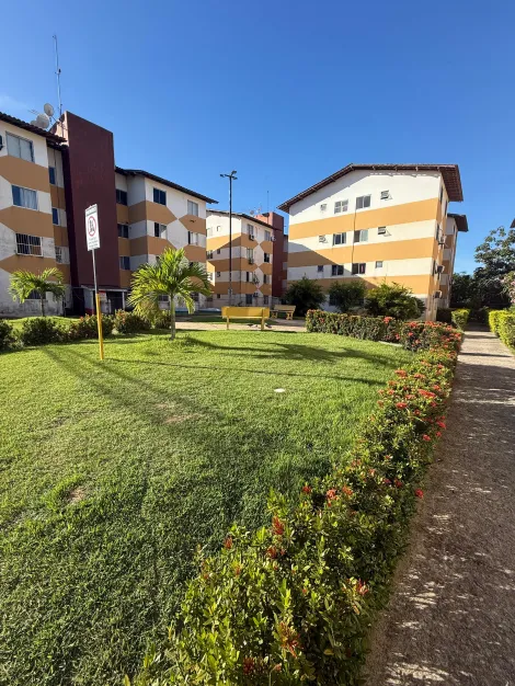 Apartamento com 2 Quartos � venda no Condom�nio Iracema na Serraria