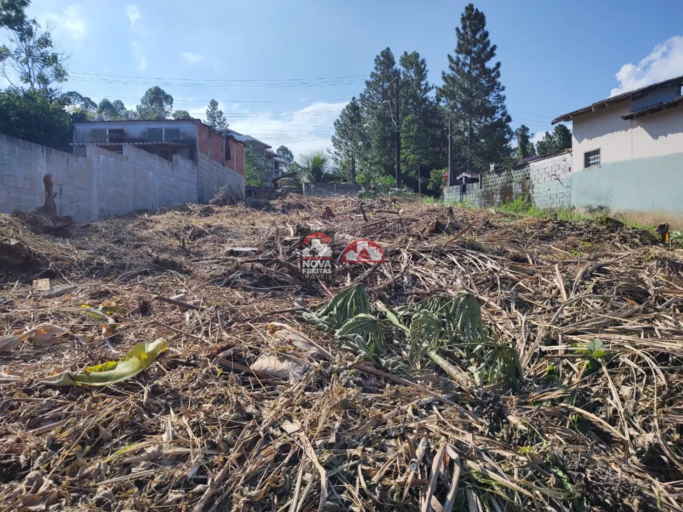 Comprar Terreno / Padr&atilde;o em Caraguatatuba R$ 250.000,00 - Foto 4