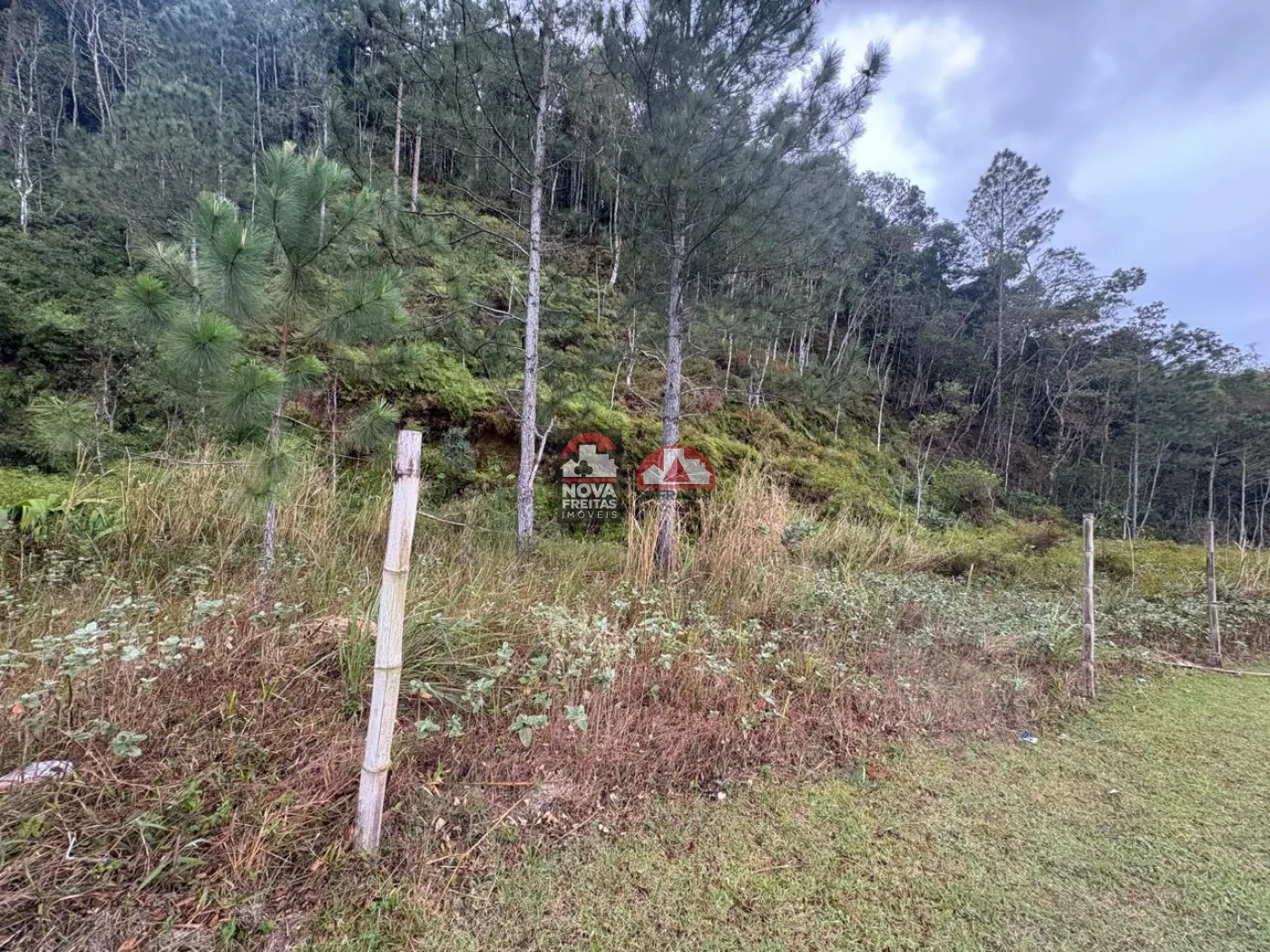 Comprar Terreno / Padr&atilde;o em Caraguatatuba R$ 135.000,00 - Foto 3
