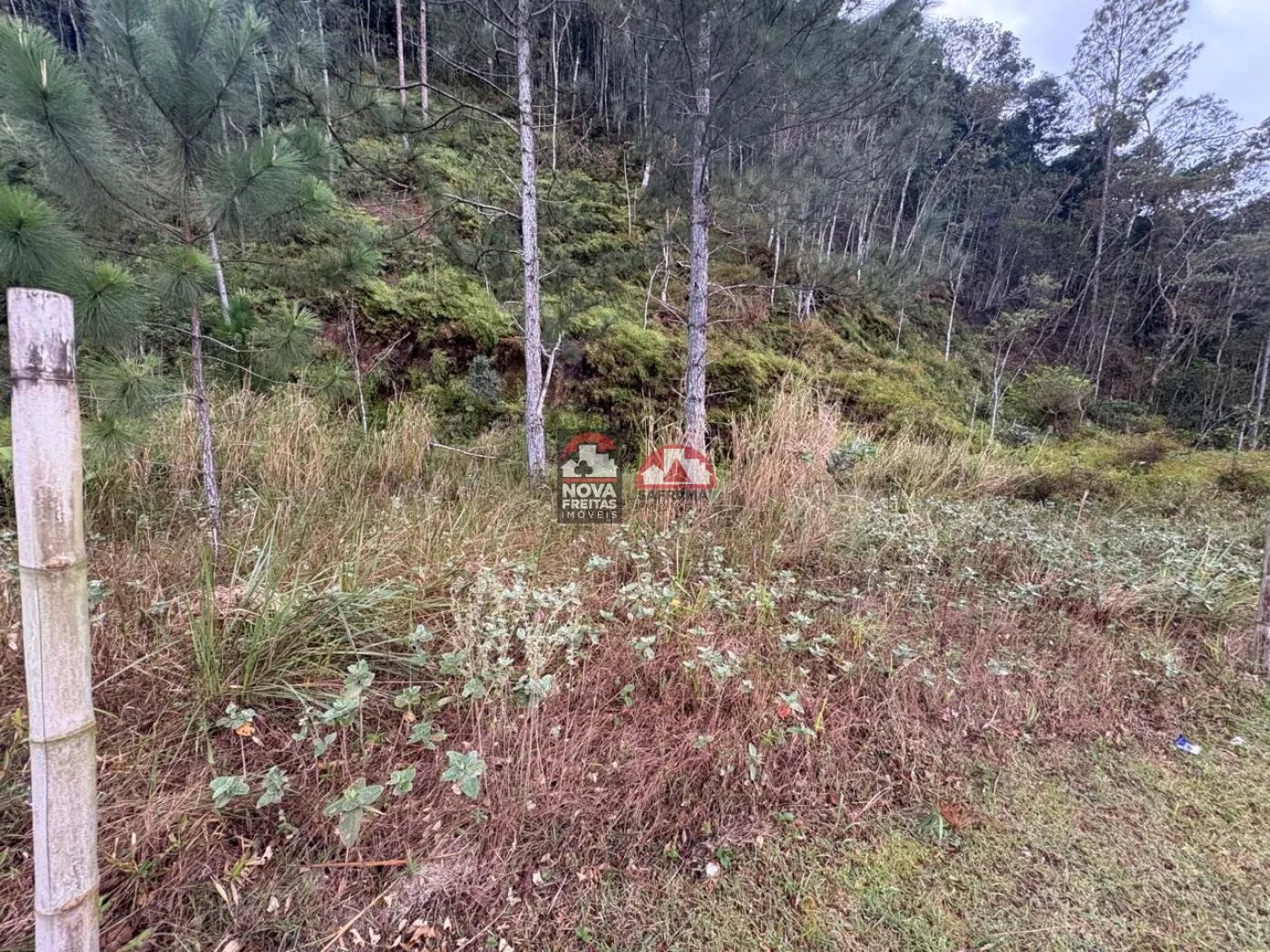 Comprar Terreno / Padr&atilde;o em Caraguatatuba R$ 135.000,00 - Foto 4